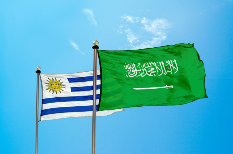 مشاهدة مباراة السعودية وأوروغواي في كأس العالم مشاهدة مباراة السعودية وأوروغواي في كأس العالم