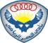 النصر النصر